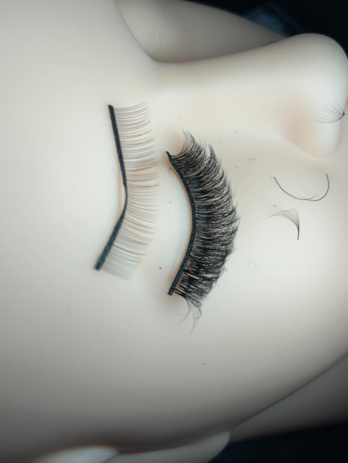 Lash ONLY June 29